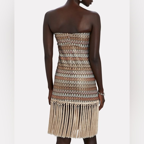 Alexis Tavia Fringe-Hem Bandeau Dress - Picture 3 of 13